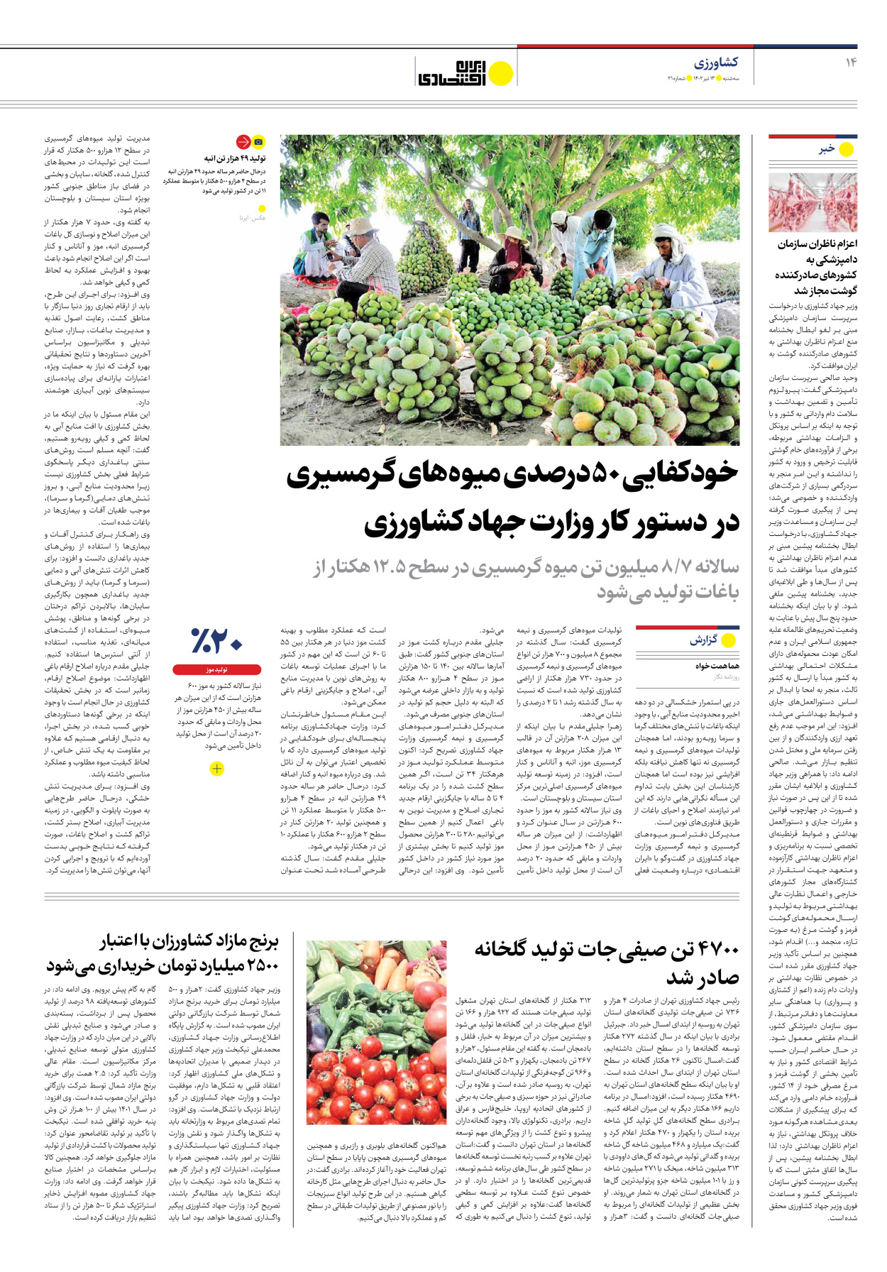 روزنامه ایران اقتصادی - شماره بیست و یک - ۱۳ تیر ۱۴۰۲ - صفحه ۱۴