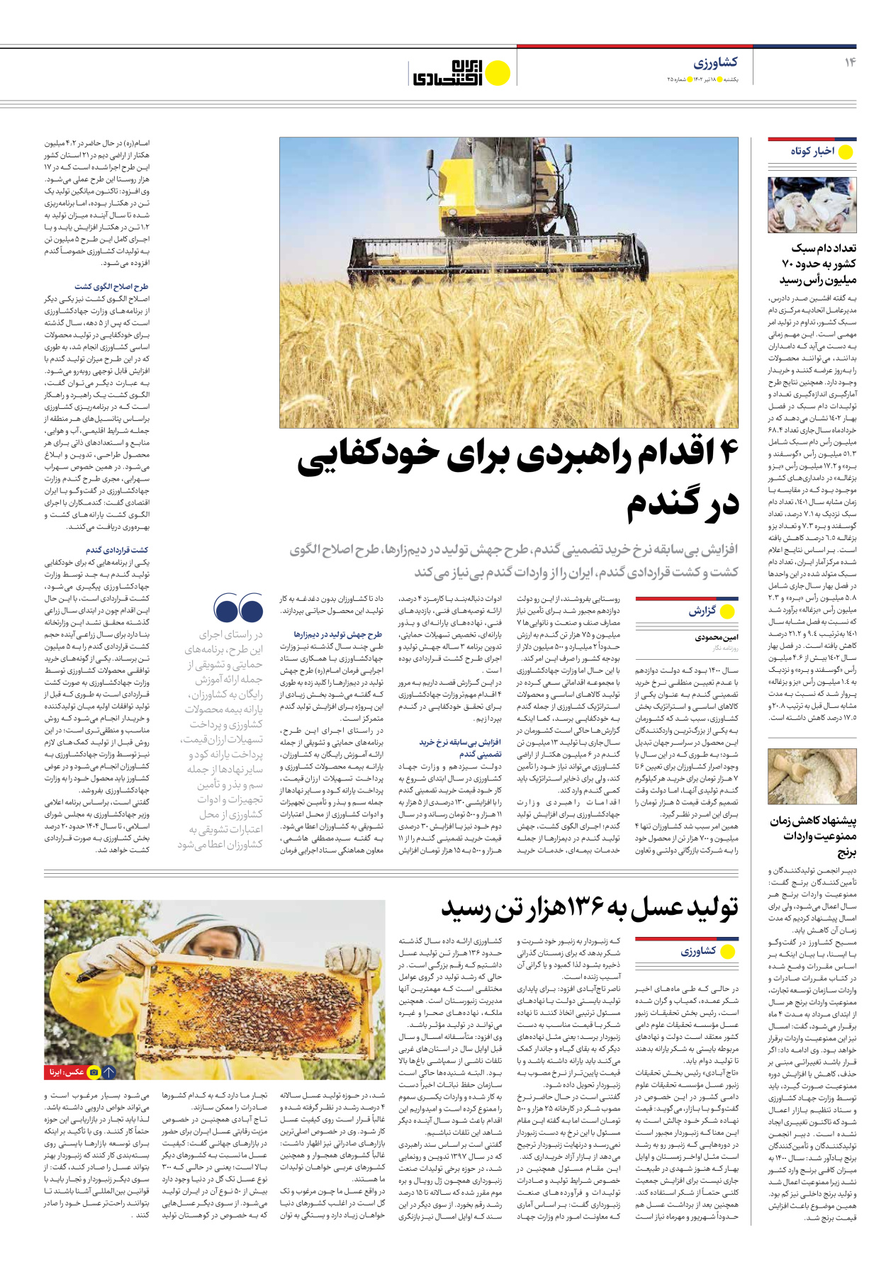 روزنامه ایران اقتصادی - شماره بیست و پنج - ۱۸ تیر ۱۴۰۲ - صفحه ۱۴