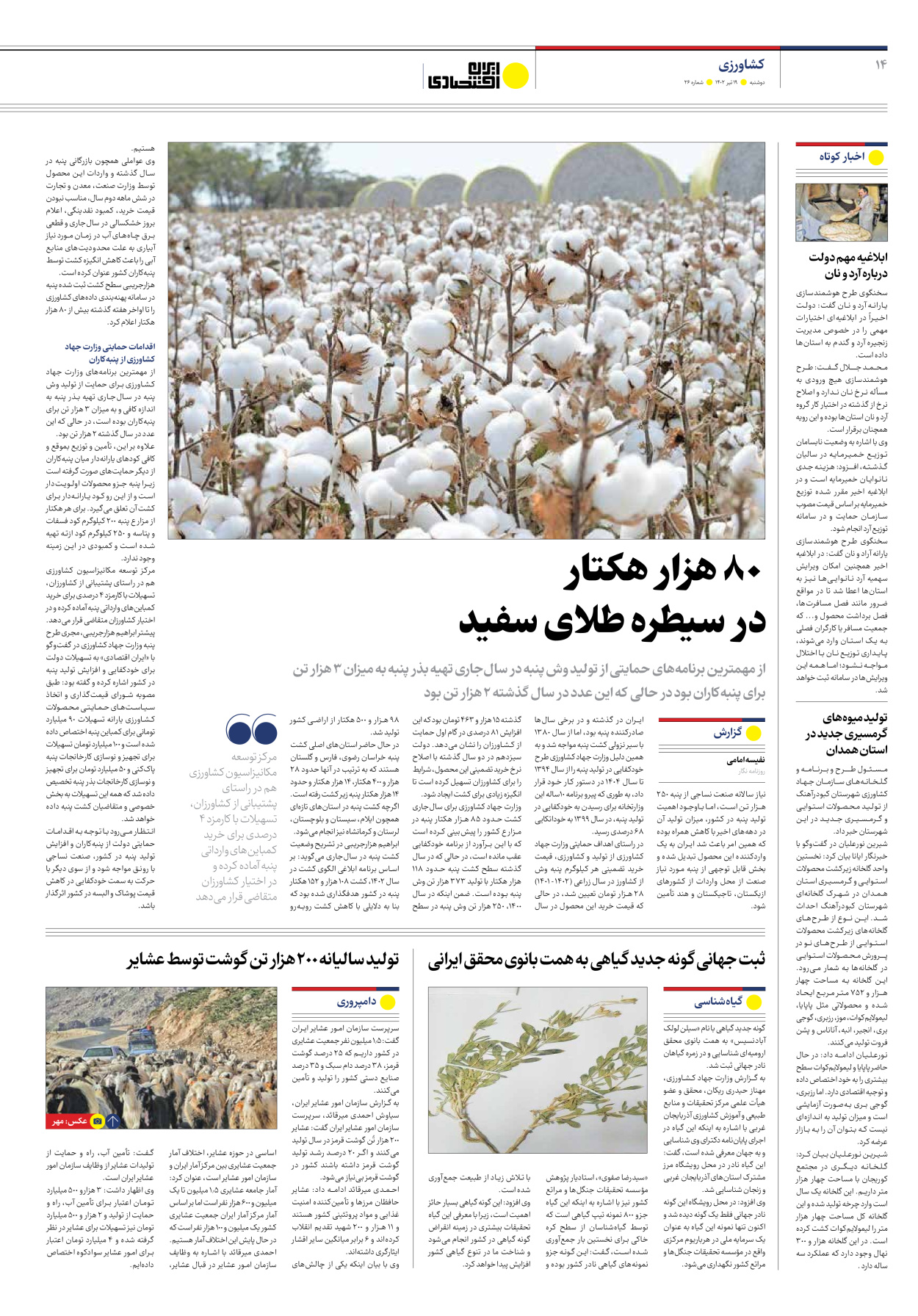روزنامه ایران اقتصادی - شماره بیست و شش - ۱۹ تیر ۱۴۰۲ - صفحه ۱۴