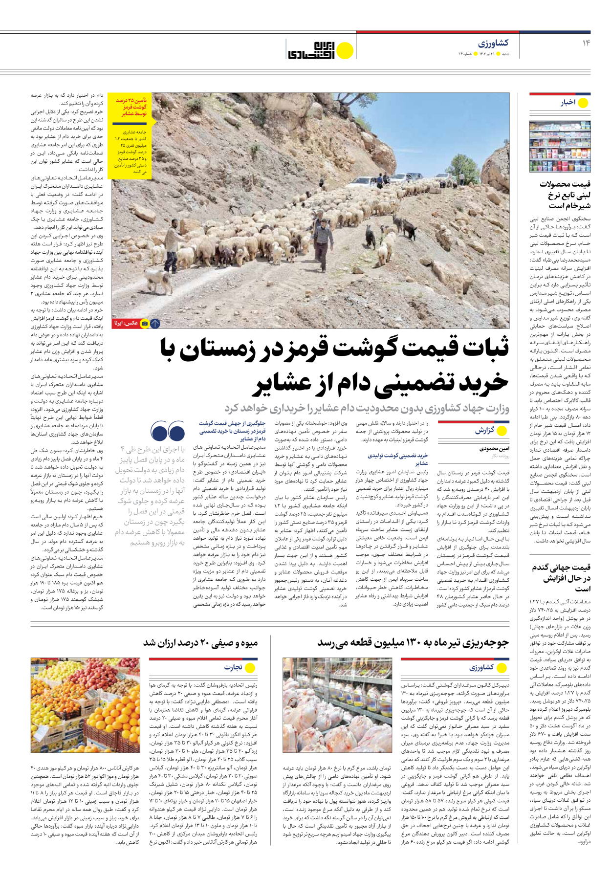 روزنامه ایران اقتصادی - شماره سی و شش - ۳۱ تیر ۱۴۰۲ - صفحه ۱۴