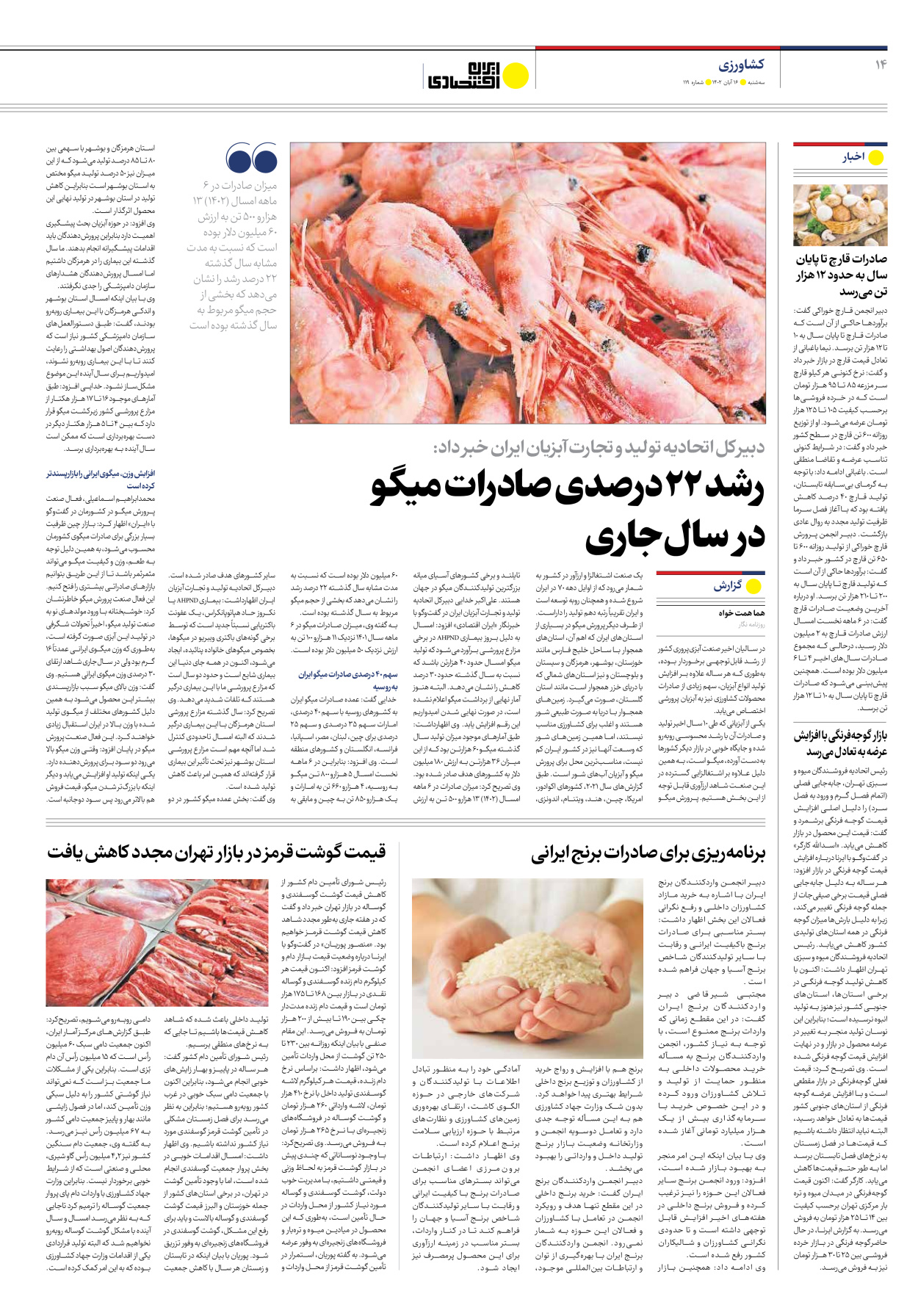 روزنامه ایران اقتصادی - شماره صد و نوزده - ۱۶ آبان ۱۴۰۲ - صفحه ۱۴