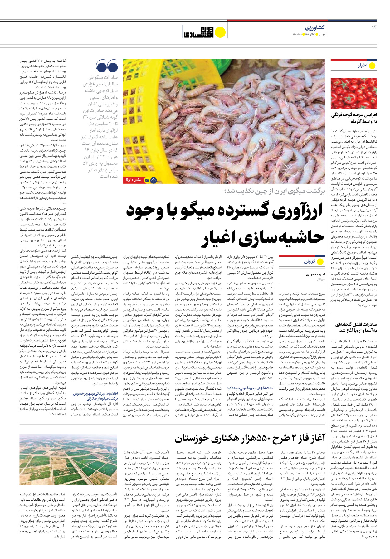 روزنامه ایران اقتصادی - شماره صد و چهل و دو - ۱۳ آذر ۱۴۰۲ - صفحه ۱۴